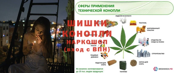 PSILOCYBIN Балахна