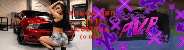 PSILOCYBIN Балахна