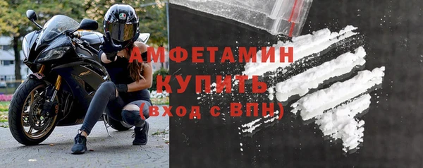 гидра Снежногорск