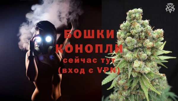PSILOCYBIN Балахна
