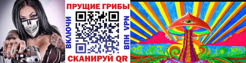 Галлюциногенные грибы Psilocybe  Короча 